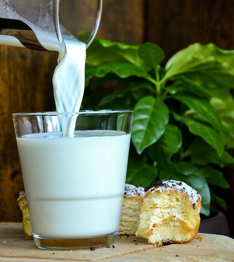 intolerancia lactose tem cura