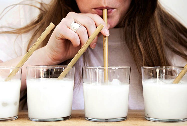 intolerancia lactose tem cura